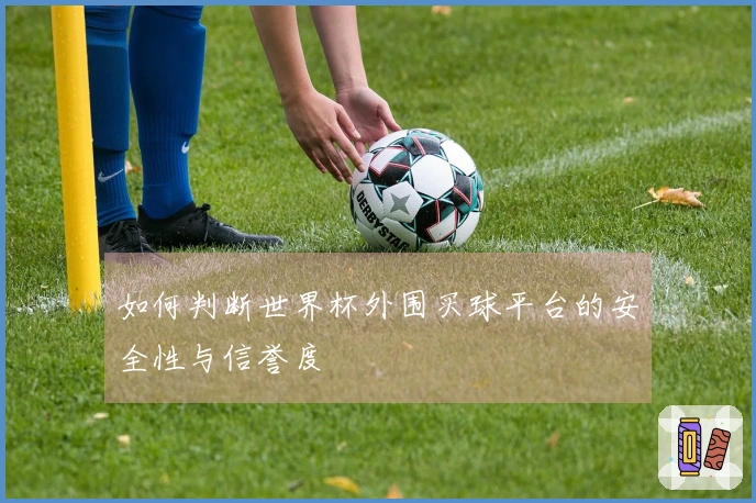 如何判断世界杯外围买球平台的安全性与信誉度