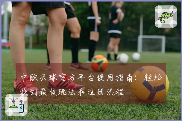 中欧买球官方平台使用指南：轻松找到最佳玩法和注册流程