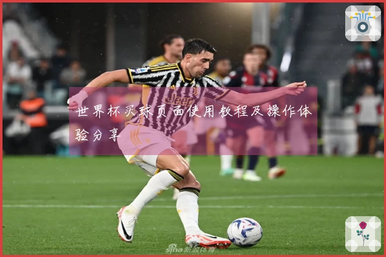 世界杯买球页面使用教程及操作体验分享