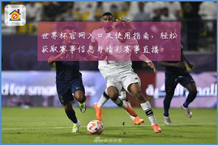 世界杯官网入口及使用指南，轻松获取赛事信息与精彩赛事直播