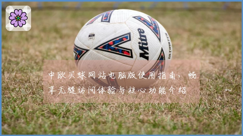 中欧买球网站电脑版使用指南，畅享无缝访问体验与核心功能介绍