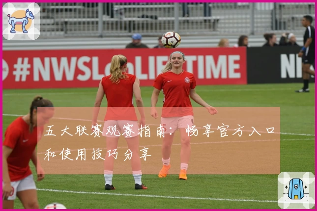 五大联赛观赛指南：畅享官方入口和使用技巧分享