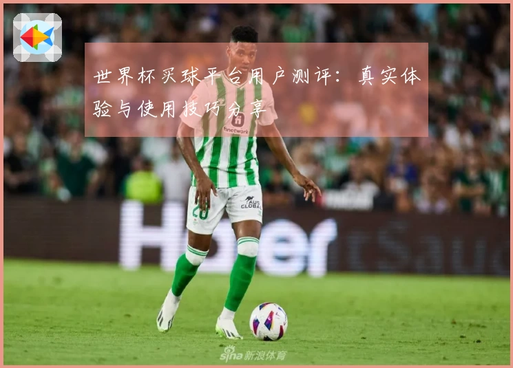 世界杯买球平台用户测评：真实体验与使用技巧分享