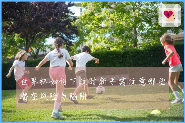 世界杯如何下注时新手需注意哪些潜在风险与陷阱