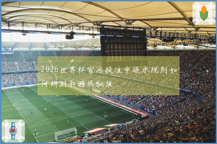 2026世界杯官方投注中返水规则如何辨别和避坑秘诀