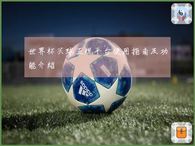 世界杯买球正规平台使用指南及功能介绍