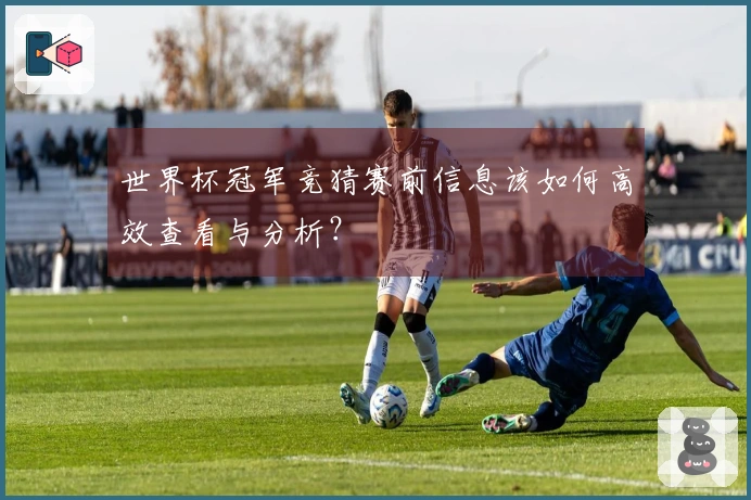 世界杯冠军竞猜赛前信息该如何高效查看与分析？