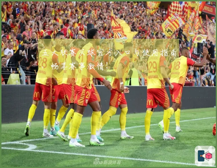 五大联赛买球官方入口与使用指南，畅享赛事激情！