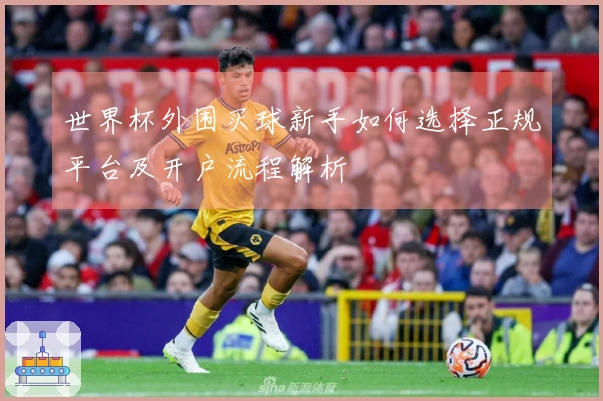世界杯外围买球新手如何选择正规平台及开户流程解析