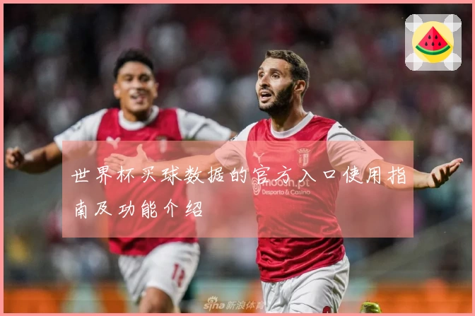 世界杯买球数据的官方入口使用指南及功能介绍