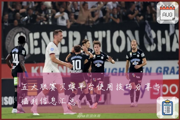 五大联赛买球平台使用技巧分享与福利信息汇总