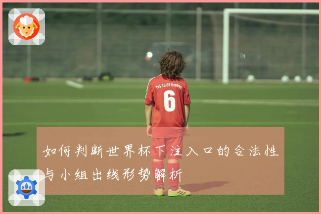 如何判断世界杯下注入口的合法性与小组出线形势解析