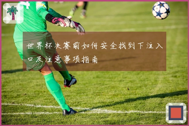 世界杯决赛前如何安全找到下注入口及注意事项指南