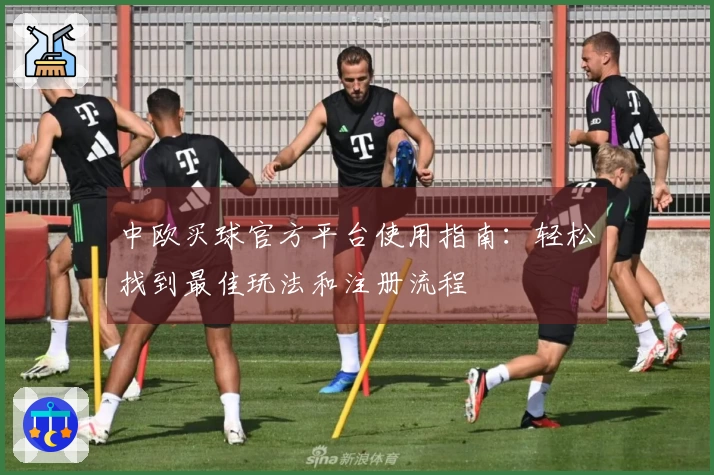 中欧买球官方平台使用指南：轻松找到最佳玩法和注册流程