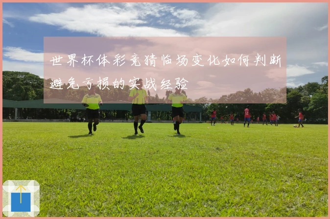 世界杯体彩竞猜临场变化如何判断避免亏损的实战经验