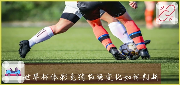 世界杯体彩竞猜临场变化如何判断避免亏损的实战经验