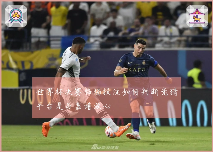 世界杯决赛临场投注如何判断竞猜平台是否靠谱放心