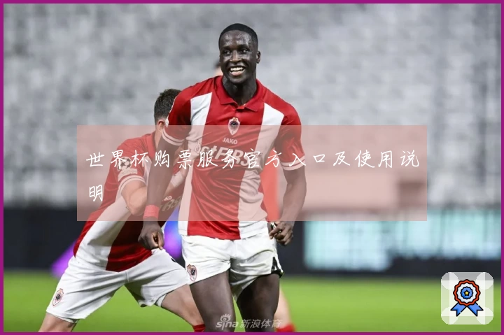 世界杯购票服务官方入口及使用说明