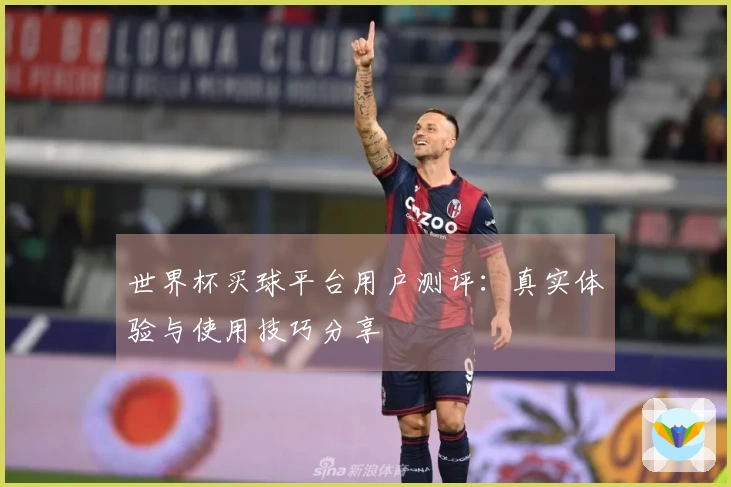 世界杯买球平台用户测评：真实体验与使用技巧分享
