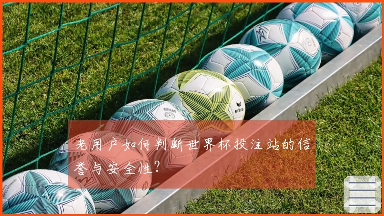 老用户如何判断世界杯投注站的信誉与安全性？
