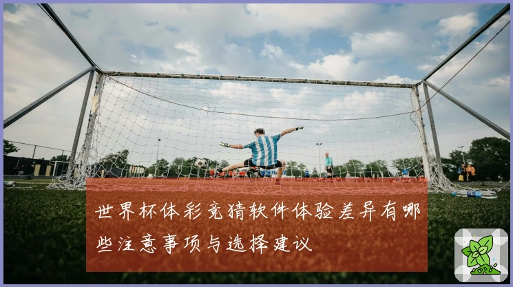 世界杯体彩竞猜软件体验差异有哪些注意事项与选择建议