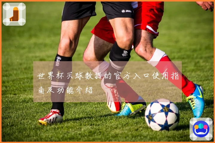世界杯买球数据的官方入口使用指南及功能介绍